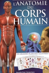 L'anatomie du corps humain