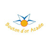 Bouton d'or Acadie