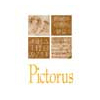 Pictorus