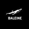 Baleine